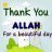 Arfa Saleem